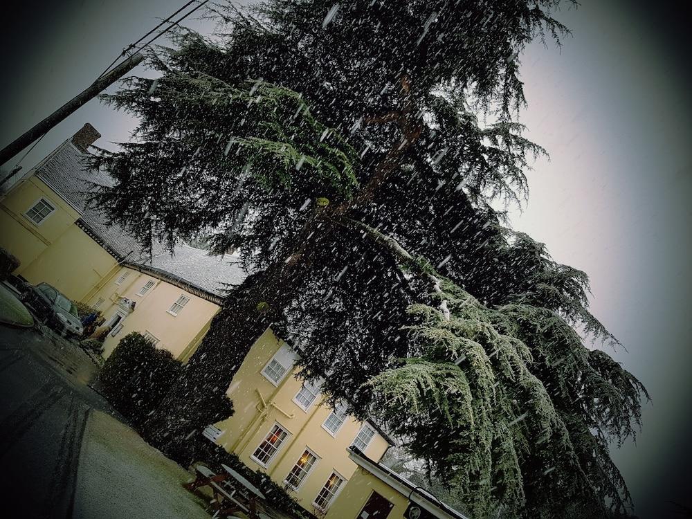 The Cedars Hotel Stowmarket Eksteriør billede